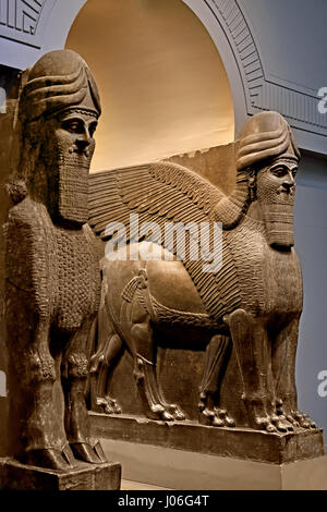 Statue lion ailé visage humain du Palais Royal d'Assurnazirpal II Nimrud 883-859 av. J.-C. en Mésopotamie Iraq Kalhu Assyrie Banque D'Images