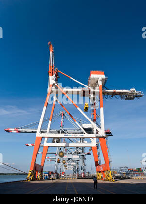 Vue verticale de grues de chargement et de déchargement des navires porte-conteneurs à un port en eau profonde au Vietnam. Banque D'Images