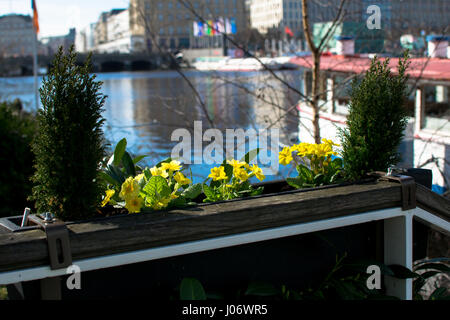 Fond du Lac avec des fleurs Banque D'Images