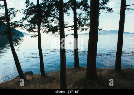 L'homme du kayak de mer dans la distance près de San Juan Islands, Washington, USA. Banque D'Images