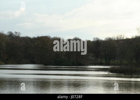 Hardwick Hall Estate Banque D'Images