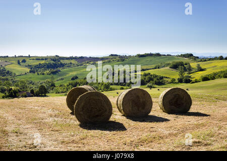 Balles de foin rondes, les collines de Monferrato, Piémont, Italie Banque D'Images