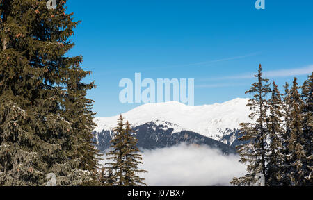 Vue panoramique sur la pente couverte de neige d'hiver sur la montagne alpine aux conifères pins Banque D'Images