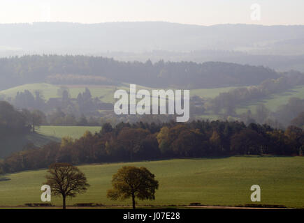 Tôt le matin, vue sur Newlands Corner, Surrey, Angleterre Banque D'Images