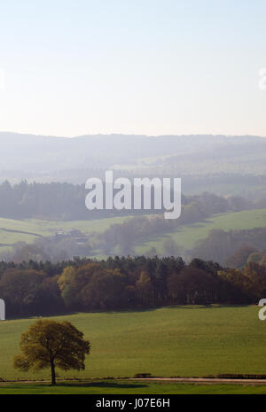 Tôt le matin, vue sur Newlands Corner, Surrey, Angleterre Banque D'Images