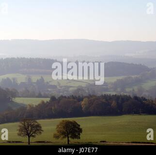 Tôt le matin, vue sur Newlands Corner, Surrey, Angleterre Banque D'Images