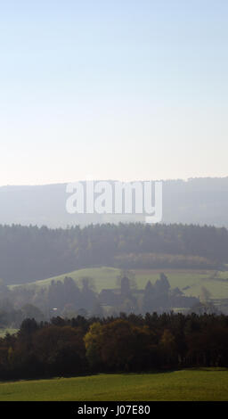 Tôt le matin, vue sur Newlands Corner, Surrey, Angleterre Banque D'Images