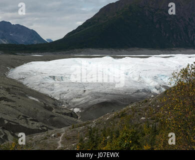 Paysage Glacier racine Banque D'Images