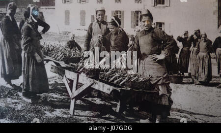 Le tableau préparation des sardines pour les conserveries représente des ouvriers préparant des sardines pour la mise en conserve. Cette scène met en lumière l'aspect industriel de la pêche, en mettant l'accent sur le processus de préservation du poisson et son rôle dans l'économie. Banque D'Images