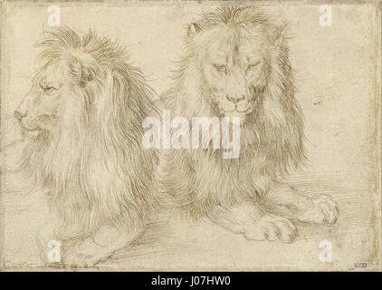 Albrecht Dürer - deux lions assis - Banque D'Images