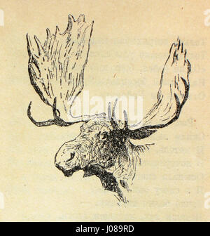 Le titre semble être codé ou dans une écriture non latine. Impossible d'identifier le travail sur la base des informations fournies. Banque D'Images