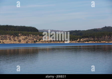 Par forestiers du Lac de Kielder dans le Northumberland, en Angleterre. Le lac sert également de réservoir formé par le barrage de Kielder. Banque D'Images