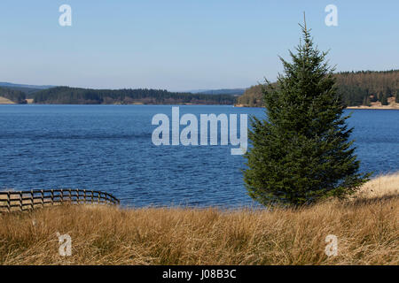 Lac de Kielder par arbre dans le Northumberland, en Angleterre. Le lac sert également de réservoir formé par le barrage de Kielder. Banque D'Images