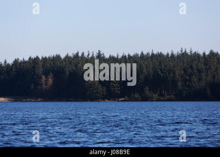 Par forestiers du Lac de Kielder dans le Northumberland, en Angleterre. Le lac sert également de réservoir formé par le barrage de Kielder. Banque D'Images