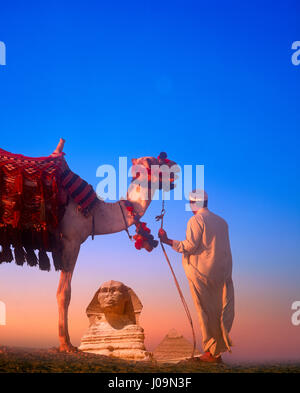 Camel et pilote avec le sphinx et de Khéphren pyramide en distance, Gizeh, Le Caire, Égypte. Banque D'Images