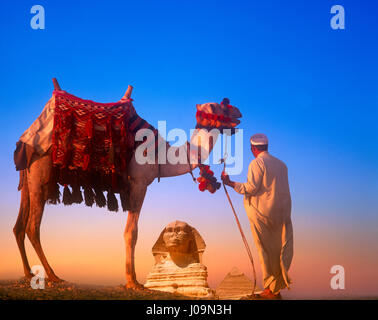 Camel et pilote avec le sphinx et de Khéphren pyramide en distance, Gizeh, Le Caire, Égypte. Banque D'Images