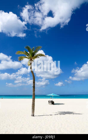 Les meilleures plages d'Aruba : Eagle Beach en face de l'Elements Restaurant Banque D'Images