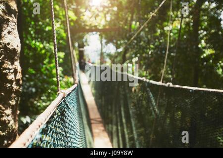Passerelle surélevée longue sur la cime des arbres, dans les forêts tropicales - Bornéo, Malaisie Banque D'Images
