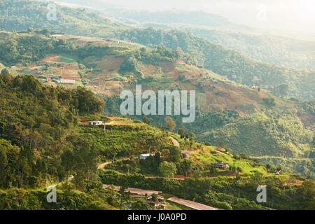 La campagne avec les champs en terrasses. Paysage vallonné de Bornéo en Malaisie. Banque D'Images