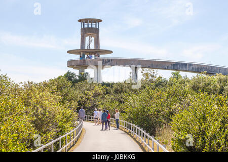 Miami, FL - Mars 15, 2017 : Le Shark Valley Tour d'observation dans le parc national des Everglades. Florida, United States Banque D'Images