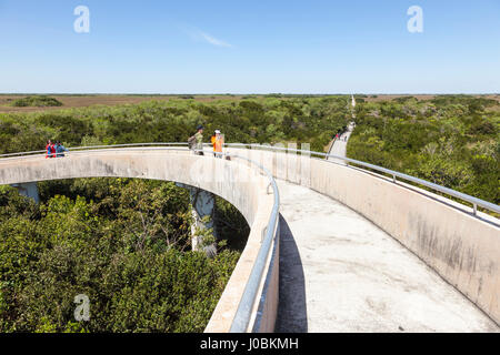 Miami, FL - Mars 15, 2017 : vue sur le parc national des Everglades de la Shark Valley Tour d'observation. Florida, United States Banque D'Images