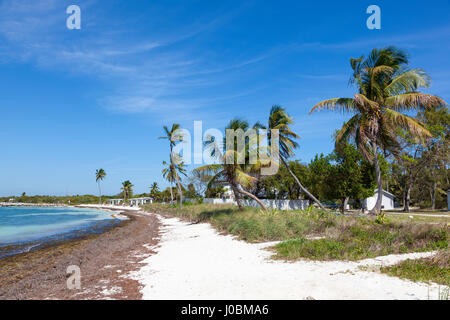 Belle plage de sable blanc du Bahia Honda key state park. Florida Keys, United States Banque D'Images