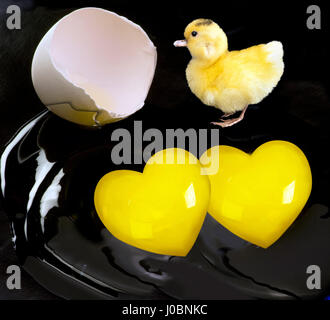 Ducky bébé et oeufs fêlés avec forme de coeur. Banque D'Images