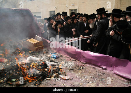 Les hommes juifs ultra orthodoxe, Belz Hasidim, se réunir pour brûler Hamets, du pain et de la nourriture non casher pour Pâque, dans la matinée de la veille de la maison de vacances. Banque D'Images