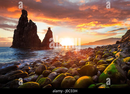 Colorful sunrise at Ribeira da janela, plage avec des roches couvertes de mousses et de falaises, près de port moniz, l'île de Madère, Portugal Banque D'Images