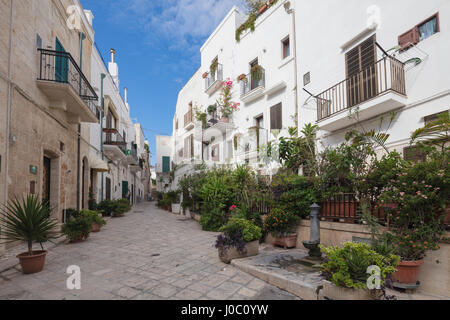 Ruelle et maisons typiques de la vieille ville, Polignano a Mare, Province de Bari, Pouilles, Italie Banque D'Images