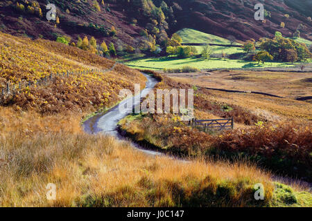 Une vue d'automne d'un gate et route sinueuse à travers les collines, la vallée de Langdale, Parc National de Lake District, Cumbria, England, UK Banque D'Images