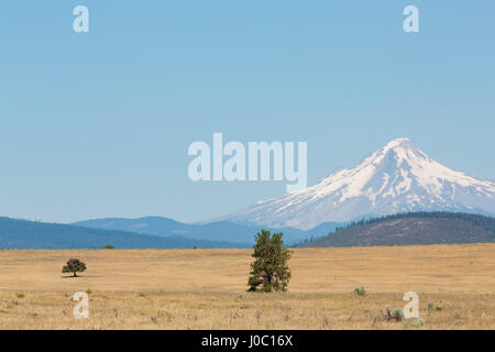 Centre de l'Oregon's High Desert avec Mount Hood, une partie de la chaîne des Cascades, dans la région du Nord-Ouest du Pacifique, de l'Oregon, USA Banque D'Images