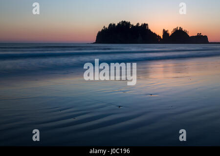 Crépuscule sur l'île James à la pousser sur la plage nord-ouest du Pacifique, Washington State, USA Banque D'Images