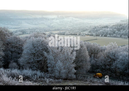 Frosty landscape, Powys, Wales, UK Banque D'Images