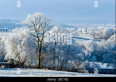 Frosty landscape, Powys, Wales, UK Banque D'Images