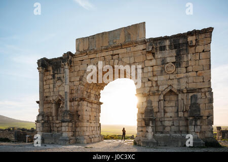 Ruines romaines de Volubilis, Meknès, Maroc, Afrique du Nord Banque D'Images