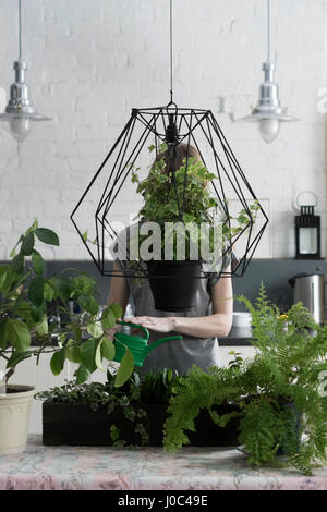 Woman watering plants at table de cuisine Banque D'Images