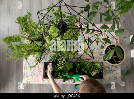 Vue de dessus de woman's hand watering plants in kitchen Banque D'Images