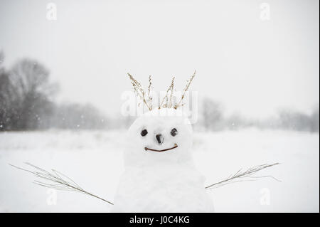 Bonhomme de neige dans le champ couvert de neige Banque D'Images