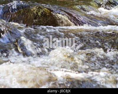 Un rocher avec de l'eau coulant sur elle dans un popmusictttttt dans Bear Brook State Park près de Allentown, New Hampshire. Banque D'Images