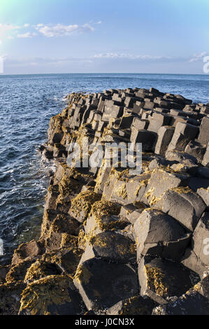 Chaussée des géants dans la formation géologique d'Antrim, en Irlande du Nord, au coucher du soleil la lumière. Banque D'Images