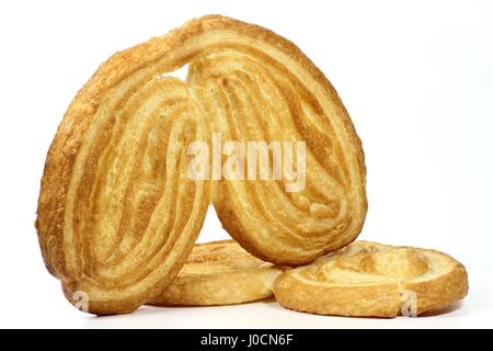 Palmiers isolé sur fond blanc Banque D'Images