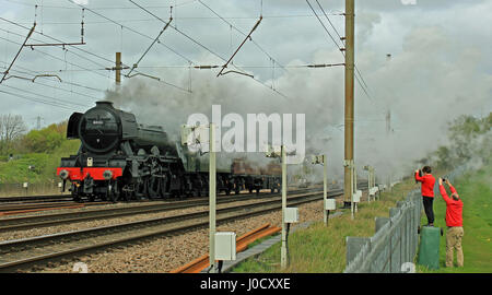 Leyland, UK. Apr 11, 2017. Un père et son fils arriver jusqu'à prendre des photos de la locomotive à vapeur, le Flying Scotsman comme il se déplace le long de la West Coast Main Line pour un voyage entre le chemin de fer de la vallée d'une valeur de Keighley et à Southall à l'ouest de Londres. Crédit : Colin Wareing/Alamy Live News Banque D'Images