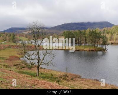 Tarn Hows près de Coniston, Cumbria, Royaume-Uni. 12 avr, 2017. Personnes bénéficiant d'une promenade autour de cette zone naturelle National Trust du quartier du lac un jour de temps couvert avec quelques averses et soleil. © DTNews/Alamy Vivre Crédit : Dan Tucker/Alamy Live News Banque D'Images