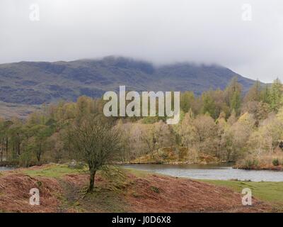 Tarn Hows près de Coniston, Cumbria, Royaume-Uni. 12 avr, 2017. Personnes bénéficiant d'une promenade autour de cette zone naturelle National Trust du quartier du lac un jour de temps couvert avec quelques averses et soleil. © DTNews/Alamy Vivre Crédit : Dan Tucker/Alamy Live News Banque D'Images