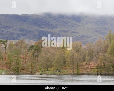 Tarn Hows près de Coniston, Cumbria, Royaume-Uni. 12 avr, 2017. Personnes bénéficiant d'une promenade autour de cette zone naturelle National Trust du quartier du lac un jour de temps couvert avec quelques averses et soleil. © DTNews/Alamy Vivre Crédit : Dan Tucker/Alamy Live News Banque D'Images