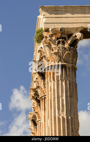 Colonnes corinthiennes (Grèce) Banque D'Images