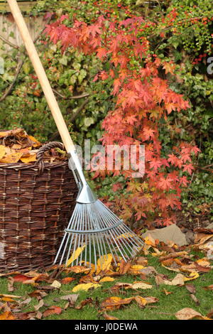 Les feuilles tombées d'une pelouse de jardin dans un panier tissé lors d'une journée d'automne, au Royaume-Uni Banque D'Images