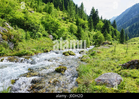 Alpes paysage de vallée dans la Zillertal Schwarzachtal (Autriche). Ruisseau coule à travers la vallée Banque D'Images