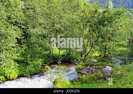 Alpes paysage de vallée dans la Zillertal Schwarzachtal (Autriche). Ruisseau coule à travers la vallée Banque D'Images